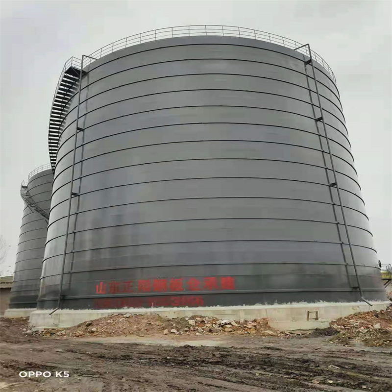 通山3万吨大型钢板库